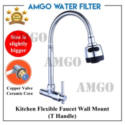 Kitchen Flexible Faucet Wall Mount (T Handle)